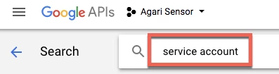 Google API's Service Account