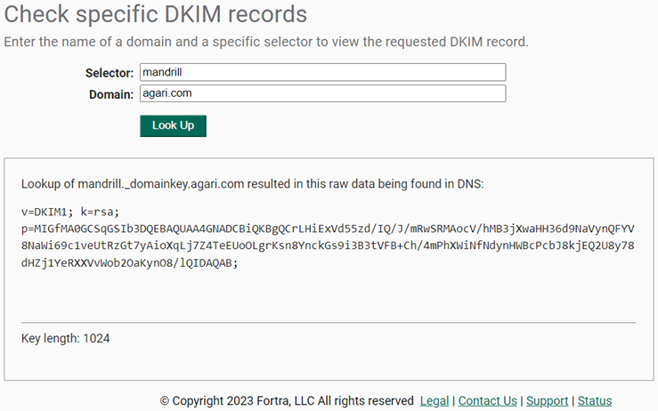 Checking for a DKIM record